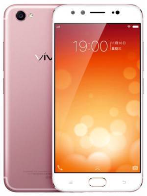 Vivo